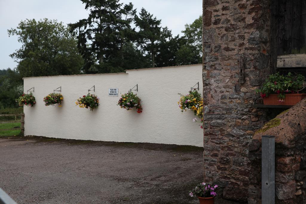 Weir Mill Farm Bed & Breakfast Cullompton Exterior foto